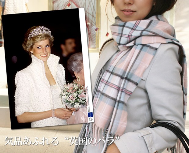 プリンセスダイアナ妃スカーフ外袋の劣化はご理解ください